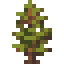 Small Fir icon