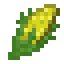 Corn icon