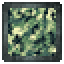 Camouflage Module icon