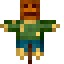 Field icon