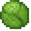 Cabbage icon