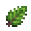 Mint icon
