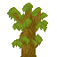 Acacia Sapling icon
