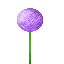 Allium icon