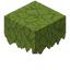 Azalea icon