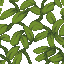 Azalea Leaves icon