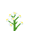 Azure Bluet icon