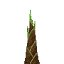Bamboo Shoot icon