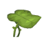Big Dripleaf icon