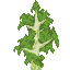 Birch Sapling icon