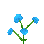 Blue Orchid icon