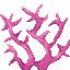 Brain Coral icon