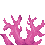 Brain Coral Fan icon