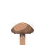 Brown Mushroom icon