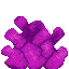 Bubble Coral icon