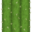 Cactus icon