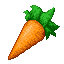 Carrot icon