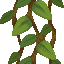 Cave Vines Plant icon