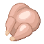 Chicken icon
