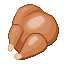 Cooked Chicken icon