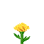 Dandelion icon