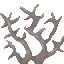 Dead Brain Coral icon