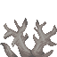 Dead Brain Coral Fan icon