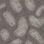 Dead Bubble Coral Block icon