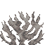 Dead Fire Coral Fan icon