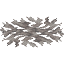 Dead Fire Coral Wall Fan icon
