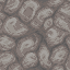 Dead Horn Coral Block icon