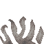 Dead Horn Coral Fan icon