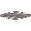Dead Tube Coral Wall Fan icon