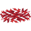 Fire Coral Wall Fan icon