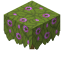 Flowering Azalea icon