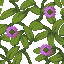 Flowering Azalea Leaves icon