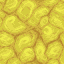 Horn Coral Block icon