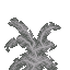 Large Fern icon