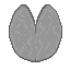 Lily Pad icon