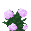 Peony icon