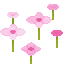 Pink Petals icon