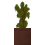 Potted Acacia Sapling icon