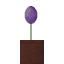 Potted Allium icon
