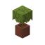Potted Azalea icon