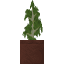 Potted Birch Sapling icon