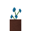 Potted Blue Orchid icon