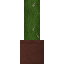 Potted Cactus icon