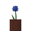 Potted Cornflower icon
