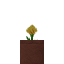 Potted Dandelion icon
