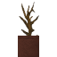 Potted Dead Bush icon